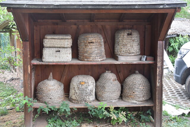 Bieneninstitut Kirchhain