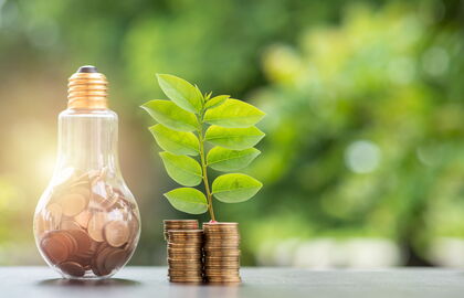 Geldstücke vor grünem Hintergrund