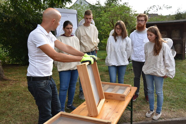 Bieneninstitut Kirchhain