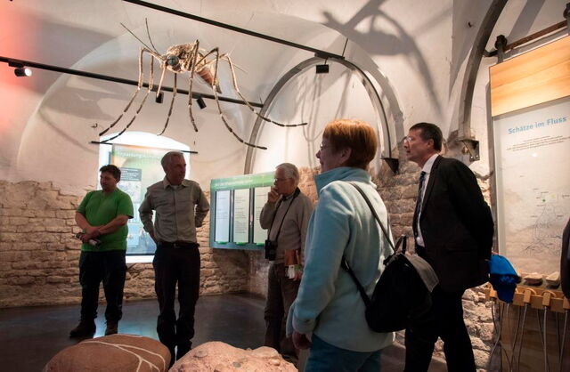 Tag der Nachhaltigkeit