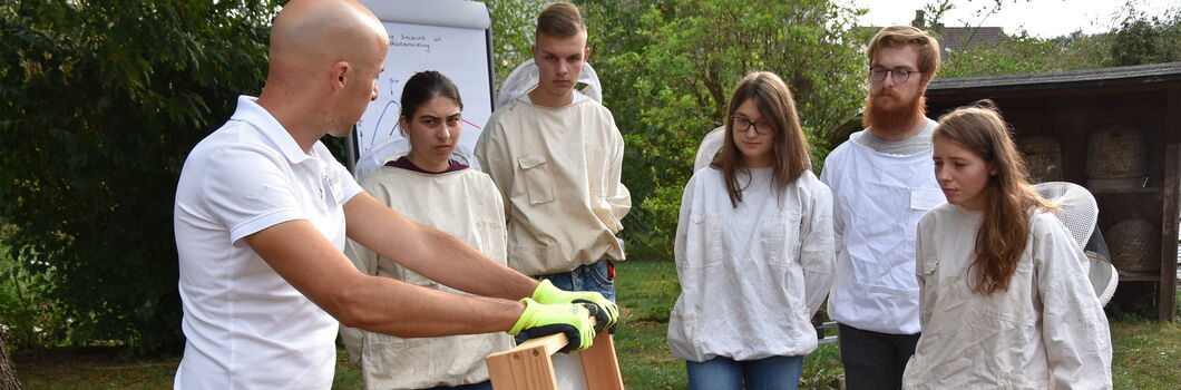 Bieneninstitut Kirchhain